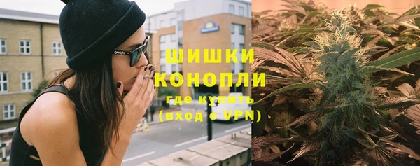 apvp Богданович